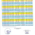napan jan 2023