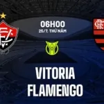 nhan dinh bong da du doan vitoria vs flamengo vdqg brazil hom nay 2307065627