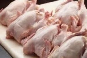 Wakil Ketua DPRD: Penolakan Daging Ayam dari Surabaya di Jayapura, Kebijakan Karantina dan Reputasi Kota