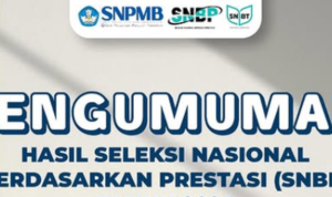 67d8d1957253f.png SNBP, Universitas Airlangga