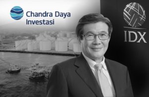 Kinerja Keuangan PT Chandra Daya Investasi Tbk (CDIA) Tahun 2025 Mencatat Peningkatan Signifikan