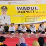 Bupati Pekalongan, Fadia Arafiq,
