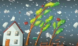 Cuaca Ekstrem di Situbondo