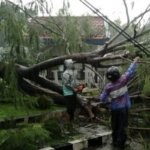 Pemkot Surabaya, Cuaca Ekstrem