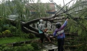 Pemkot Surabaya, Cuaca Ekstrem