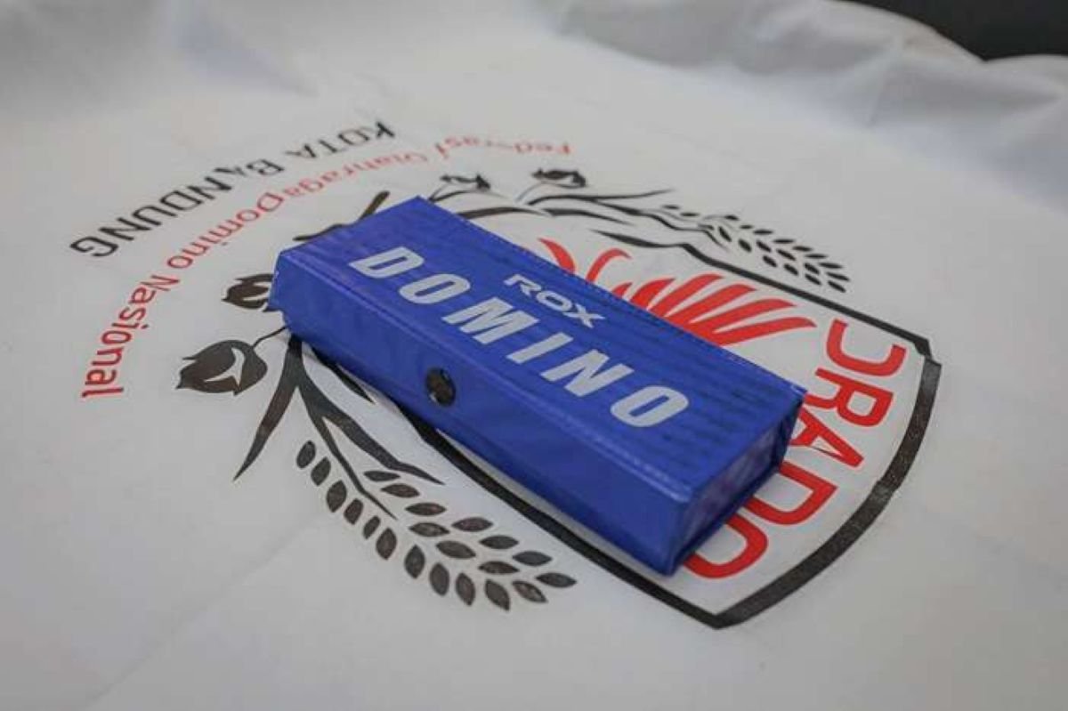 Domino