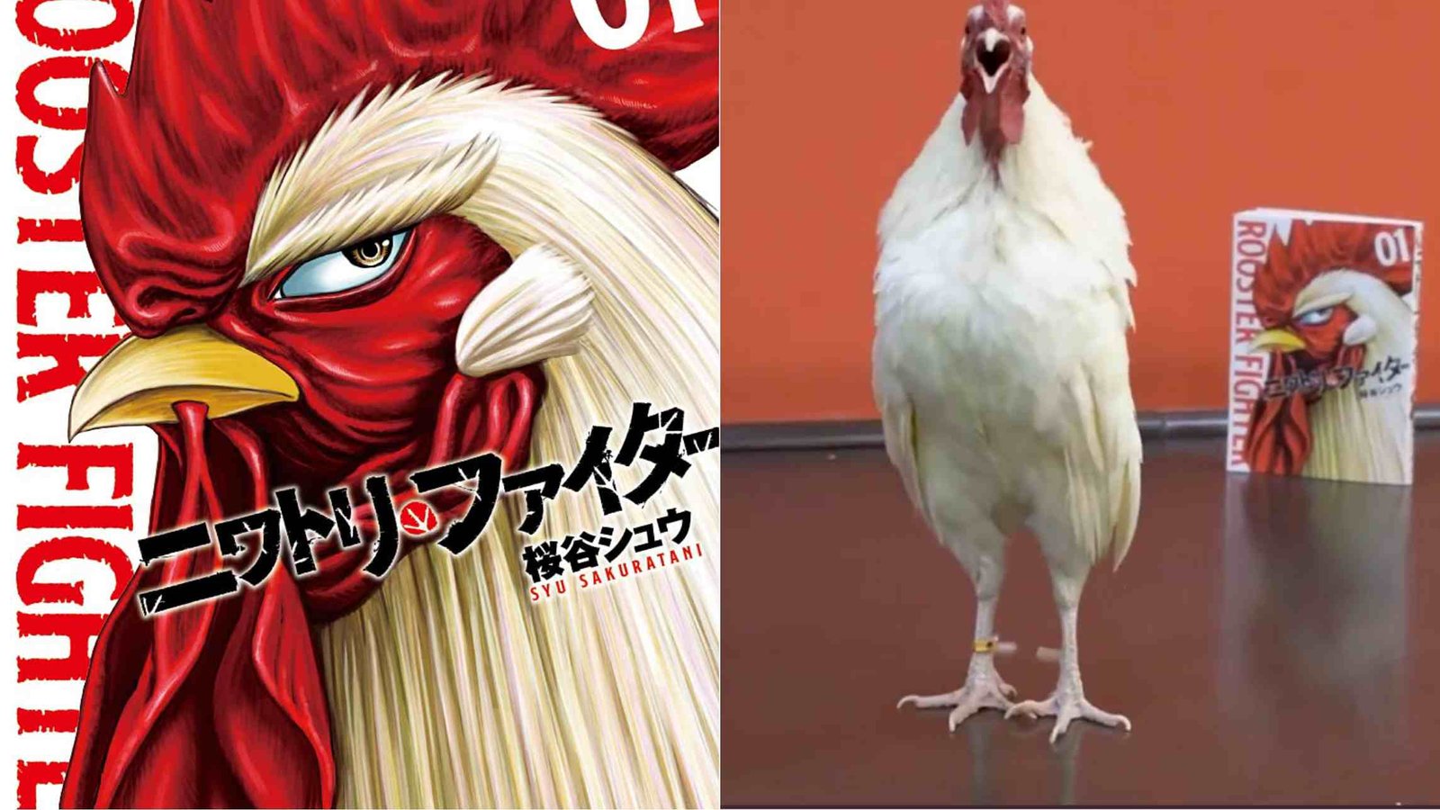 Pengalaman Menonton yang Unik dengan "Rooster Fighter" di Hulu 1 Pengalaman Menonton yang Unik dengan “Rooster Fighter” di Hulu