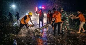 TNI dan Personel Gabungan Evakuasi Pohon Tumbang di Jalan Nasional Trenggalek