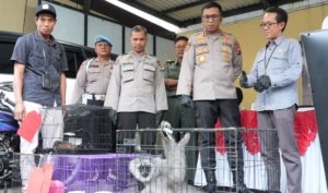 Polresta Sidoarjo Ungkap Perdagangan Ilegal Satwa Lindung Jaringan Internasional