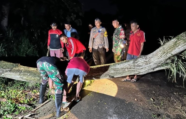 TNI-Polri Sigap Evakuasi Pohon Tumbang Akibat Cuaca Ekstrem di Trenggalek