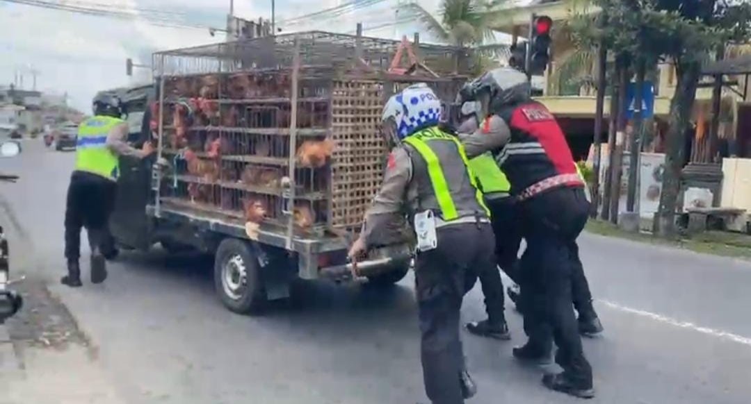 Respon Cepat Tim Urai Polres Blitar Bantu Kendaraan Mogok, Arus Lalu Lintas Tetap Lancar 1 Respon Cepat Tim Urai Polres Blitar Bantu Kendaraan Mogok, Arus Lalu Lintas Tetap Lancar