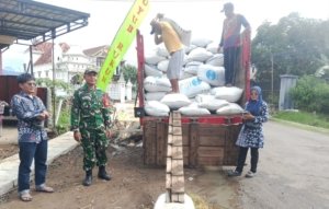 Babinsa Wonocoyo Dampingi Penyerapan 5,6 Ton Gabah Petani ke Bulog Trenggalek