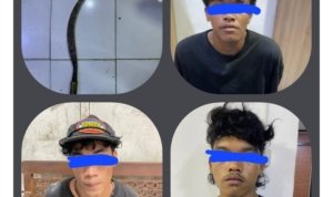 Screenshot 2026 03 27 11 55 53 961 com.android.chrome edit