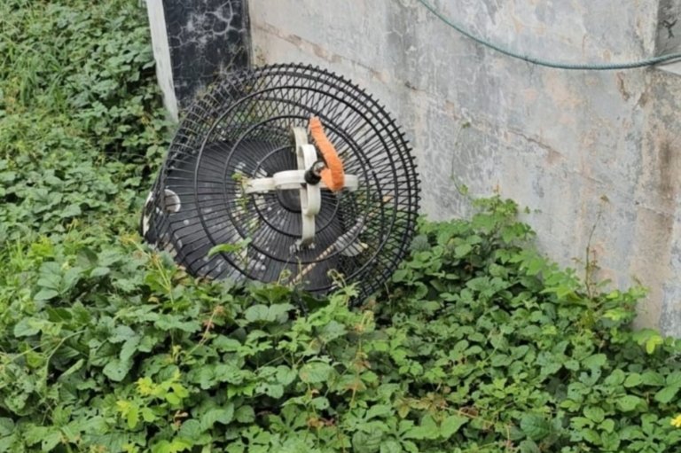 Polsek Wonocolo Terima Laporan Pencurian Burung Murai dan Dua Ponsel, Kerugian Capai Rp19 Juta