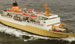 Tatamailau