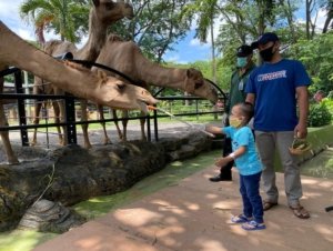 Libur Lebaran 2026, Kebun Binatang Surabaya Diserbu 40 Ribu Pengunjung