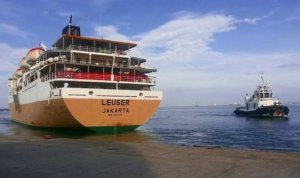 km leuser pelnimakassar
