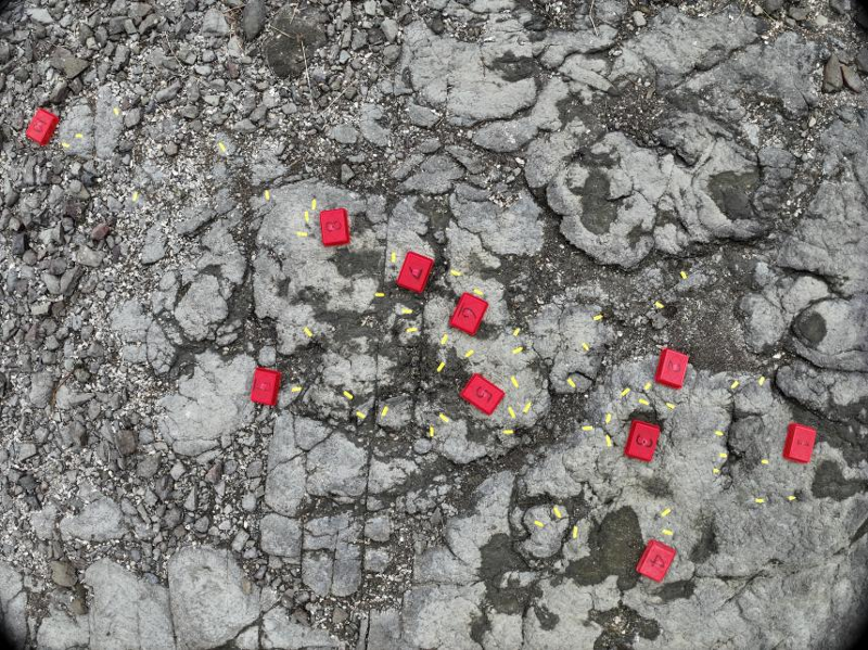 Penemuan Dinosaurus Baru di Korea Selatan, Terinspirasi Karakter Kartun Legendaris