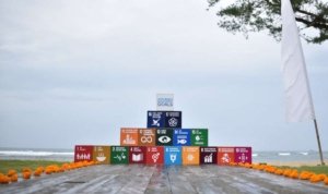 Proyek Marina KEK Kura-Kura Bali Disegel karena Dugaan Kerusakan Ekosistem Mangrove