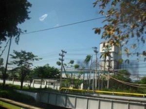 Kinerja Keuangan Emiten Cat Avian Tbk Tumbuh Signifikan di Kuartal Pertama 2026