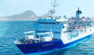 Gambar KM Tatamailau yang diunggal Instagram pelni162 8 Maret 2025 1