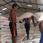 Musim Kemarau, El Nino, Menteri Pertanian, Andi Amran Sulaiman, Beras