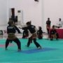 Pencak Silat Surabaya Siap Berlaga di Kejurprov Jawa Timur 2026