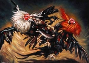 “Skandal Judi Jombang: Arena Sabung Ayam Aktif Lagi, Diduga Ada ‘Orang Dalam’ Jadi Tameng”