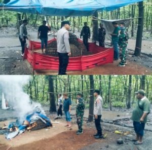 BRAVO Pak Kopolres, Perjudian Sabung Ayam Aduan di Sendangrejo – Jombang Berakhir Penggerebekan!!!, Miskipun Dalang Otaknya Tersenyum Tipis
