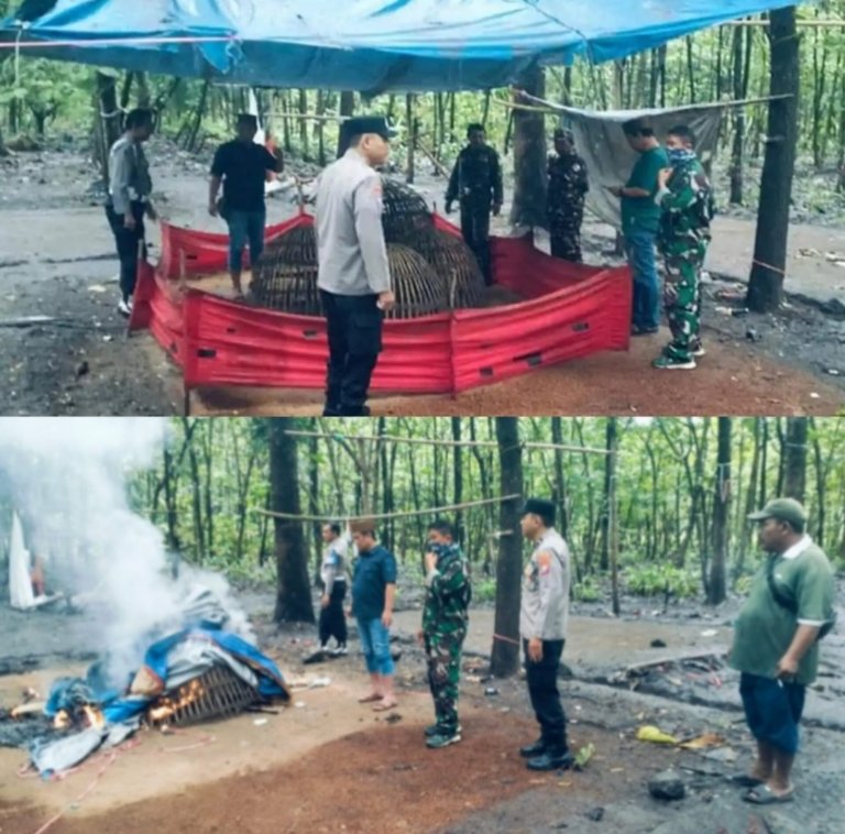 BRAVO Pak Kopolres, Perjudian Sabung Ayam Aduan di Sendangrejo – Jombang Berakhir Penggerebekan!!!, Miskipun Dalang Otaknya Tersenyum Tipis