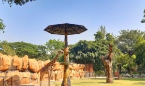 Wisata ,Terpopuler ,Surabaya ,Libur Panjang