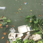 ecoton temukan ratusan partikel mikroplastik di sungai surabaya 4030540 thumbnail 804
