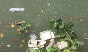 ecoton temukan ratusan partikel mikroplastik di sungai surabaya 4030540 thumbnail 804