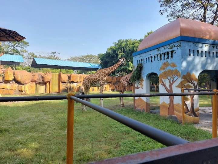 Tingkatkan Wisatawan, Pemkot Surabaya Penataan Ulang Kebun Binatang Surabaya