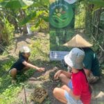 program kelas berkebun sancaya indonesia
