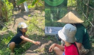 program kelas berkebun sancaya indonesia