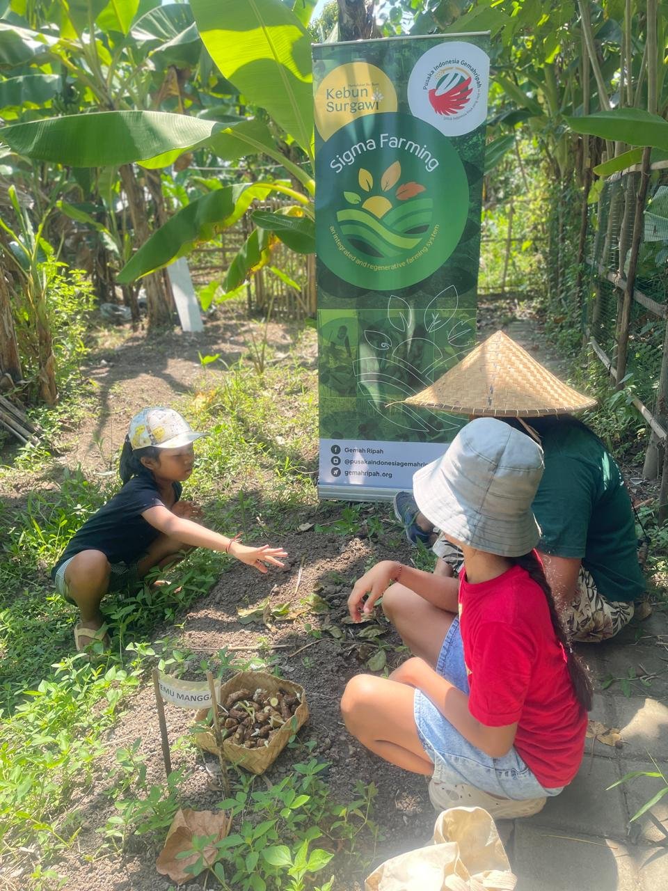 Merawat Budaya Pertanian di Tengah Keramaian Surabaya, Berbagi Ilmu Tanpa Batas di Sekolah Alam