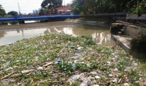 sampah wonokromo