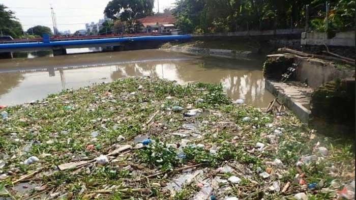 Ecoton Angkut 907 Kg, Inisiatif Berkelanjutan untuk Mengelola Sampah Sungai Kali Tebu