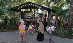 Kebun Binatang Surabaya