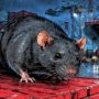 Surabaya , Hantavirus