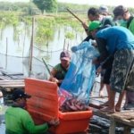 BRIDA Surabaya, Tambak Mangrove