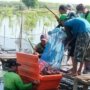BRIDA Surabaya, Tambak Mangrove