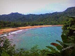Penyerangan Wisatawan Surabaya di Malang: Polda Jatim Pastikan Penanganan Serius