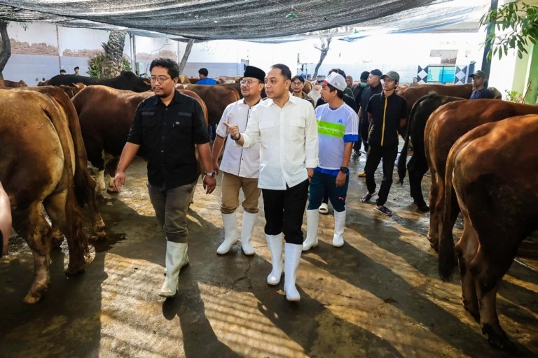 Surabaya , Hewan Kurban, Kesehatan ,Keselamatan Masyarakat