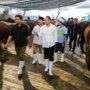 Surabaya , Hewan Kurban, Kesehatan ,Keselamatan Masyarakat