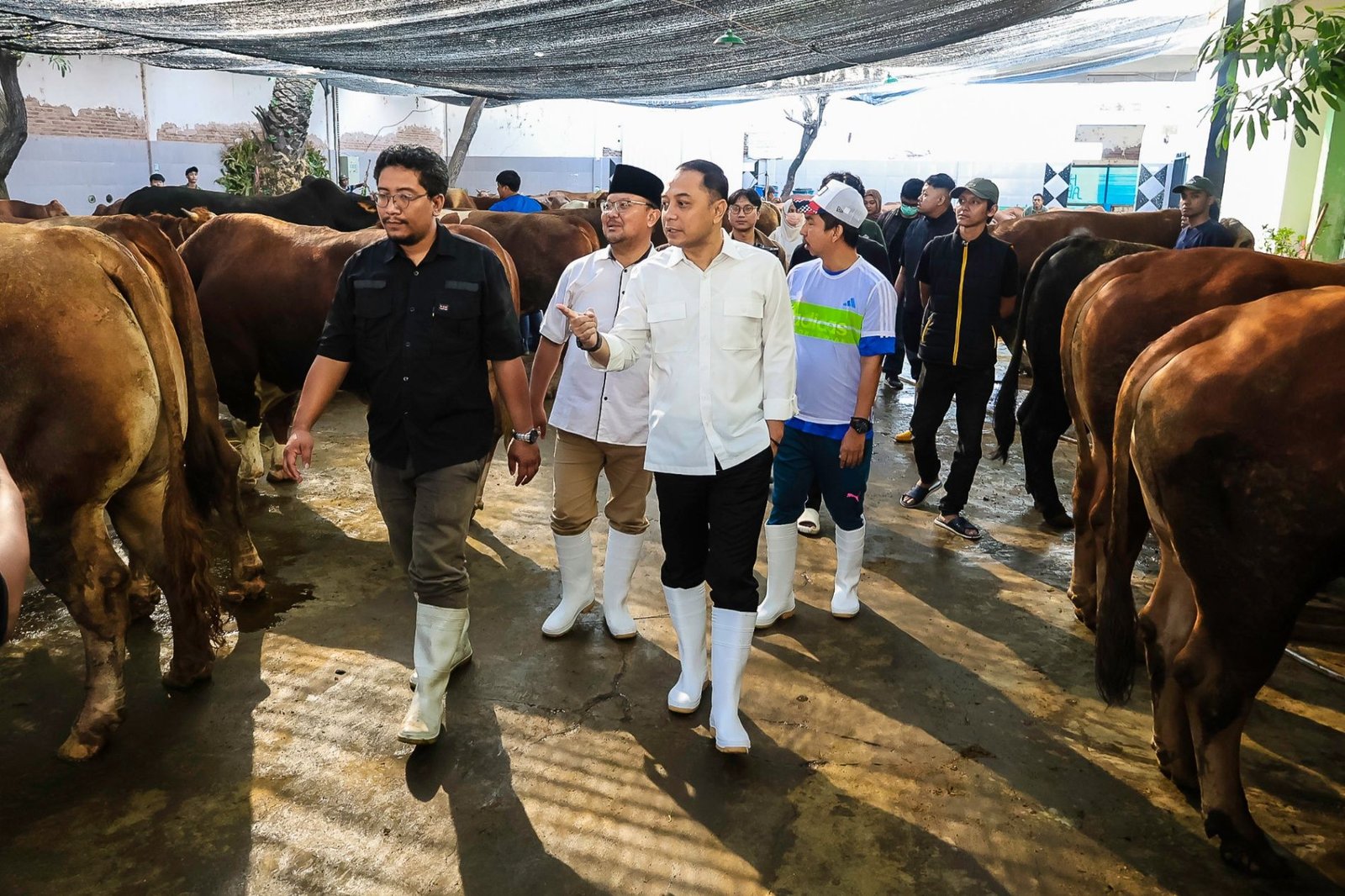 Surabaya , Hewan Kurban, Kesehatan ,Keselamatan Masyarakat