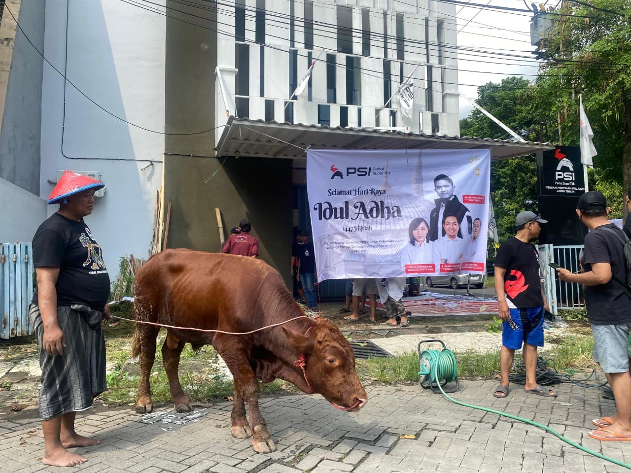 PSI Jawa Timur Sembelih 3 Sapi Kurban, Bagikan 500 Paket Daging untuk Warga 1 PSI Jawa Timur