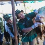 SPTP, hewan kurban , DKPP Surabaya