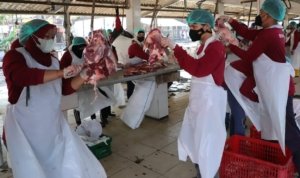 RPH Surabaya, pemotongan hewan kurban Surabaya, Iduladha 1447 H, sapi kurban Surabaya, layanan kurban higienis, PT RPH Surabaya Perseroda, Kesehatan Hewan Kurban,